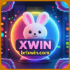 Logo da XWIN